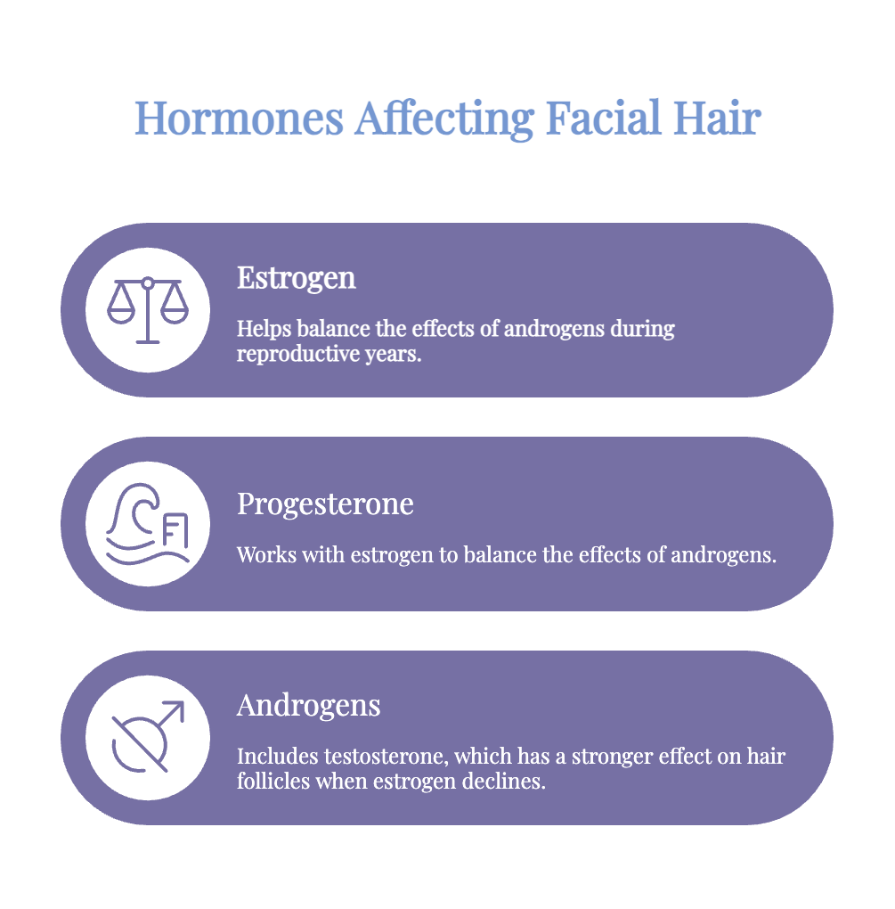 Infographic explaining how estrogen, progesterone, and androgens affect facial hair.